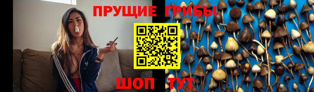 Комсомольск-на-Амуре  Галлюциногенные грибы прущие грибы  Вход с VPN 